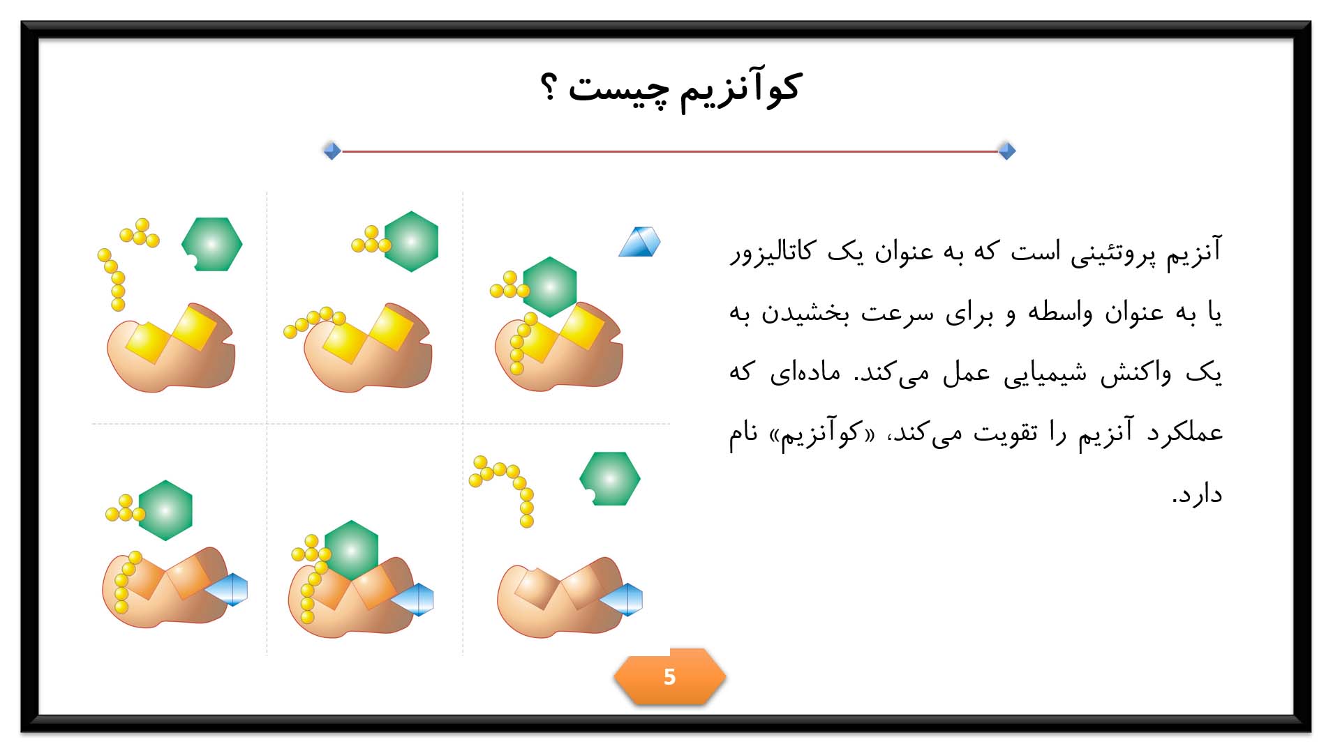 پاورپوینت در مورد کوآنزیم 